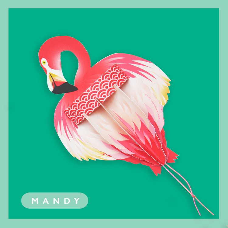 Mandy the Flamingo Wallypop Greetings Card