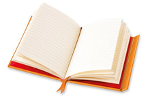 Load image into Gallery viewer, Bee Brown: Folk Owl (Foiled Journal)

