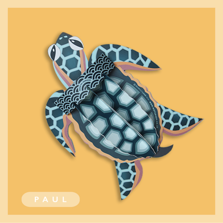 Paul the Turtle Wallypop Greetings Card