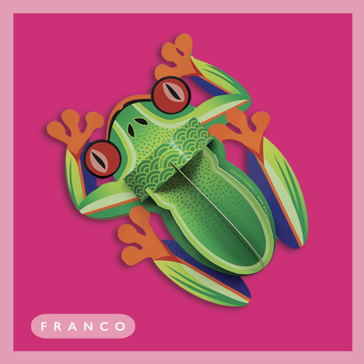 Franco the Frog Wallypop Greetings Card